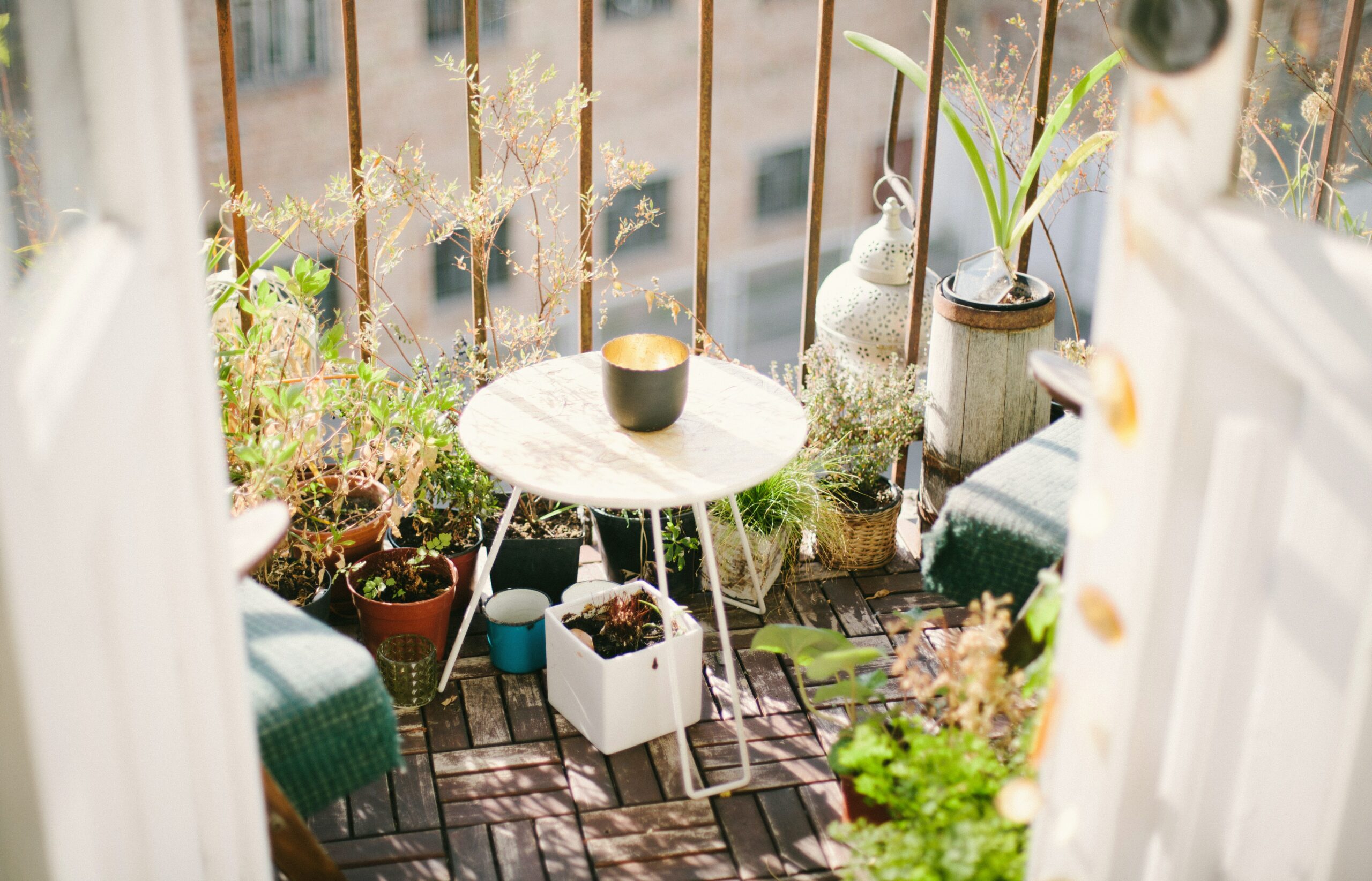 ¿Cómo preparar la terraza para el verano? mesita y plantas scaled