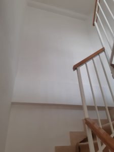 Pepper Escalera antes 1