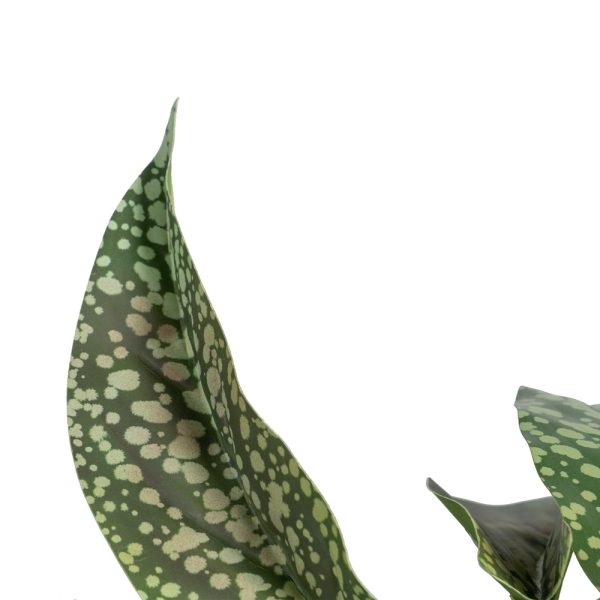 SINGONIO VERDE "PVC" 52 X 44 X 44 CM - Imagen 2