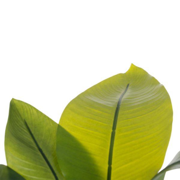 PLANTA STRELITZIA VERDE ARTIFICIAL 40 X 30 X 70 CM - Imagen 2